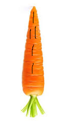 ATTRACT MONEY WITH A CARROT